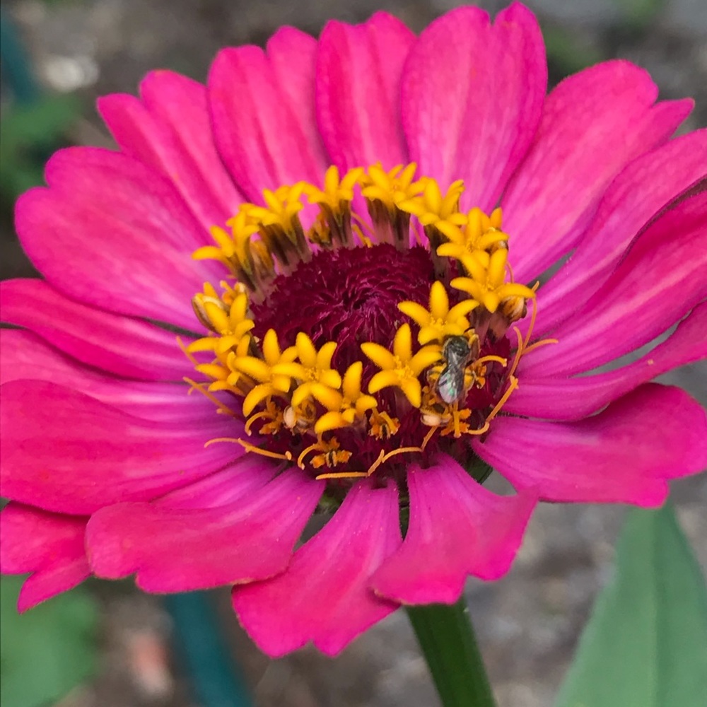 Meet your Posher, Eve